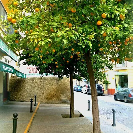 Al Andalus Jerez Hotel